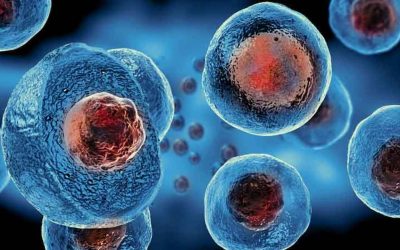 Stem Cell of NJ: Discover How Umbilical Cord Stem Cell Therapy Can Transform Health