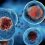 Stem Cell of NJ: Discover How Umbilical Cord Stem Cell Therapy Can Transform Health