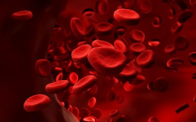Why Platelet Rich Plasma (PRP) Injections Are Becoming a Top Regenerative Medicine Option