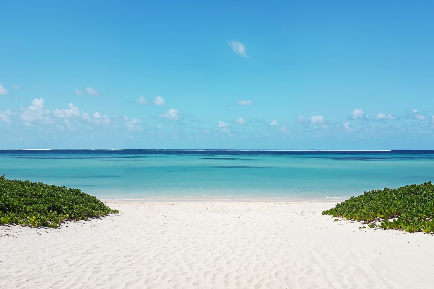 beautiful tropical nature 1