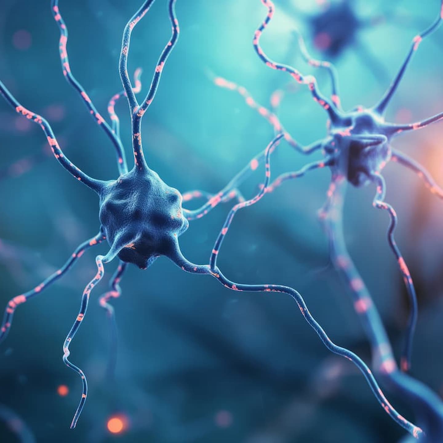 close up neurons nem 1 1 7 facet joint injections facet joint injections,joint pain,joint pain relief,facet joint