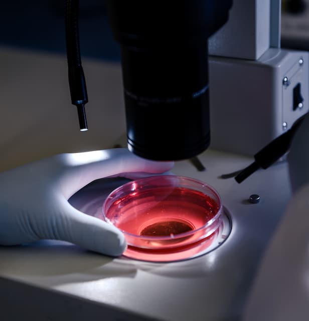 closeup-shot-person-studying-coronavirus-particles-with-microscope-2.jpg